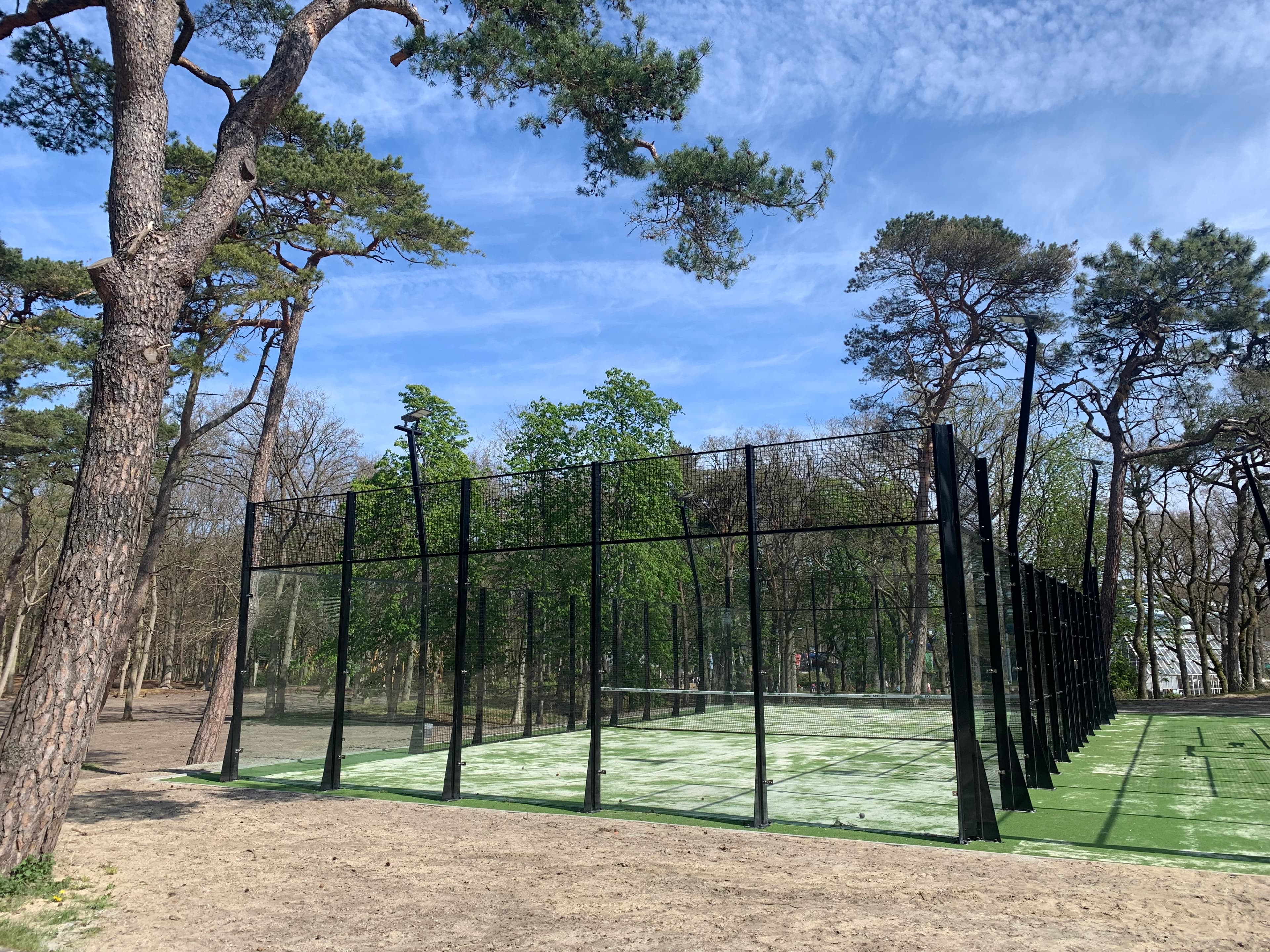 Glass-walled padel court surrounded by tall pine trees under a clear blue sky.